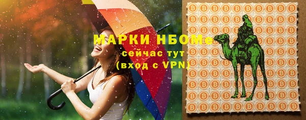 гидра Ачинск