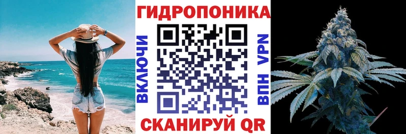 где найти   Зеленоградск  Бошки Шишки ГИДРОПОН 